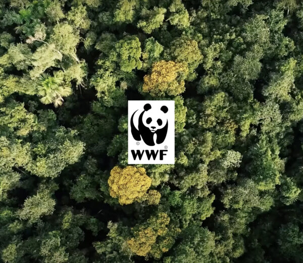 WWF – Emergência Covid19 no Sul do Amazonas