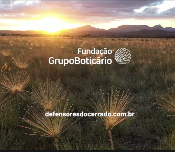 Brigadas Voluntárias – Fundação Boticário