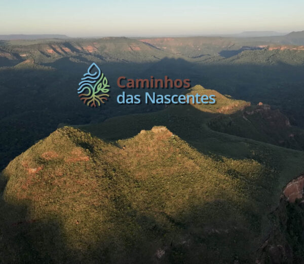 Caminho das Nascentes – SOS Pantanal