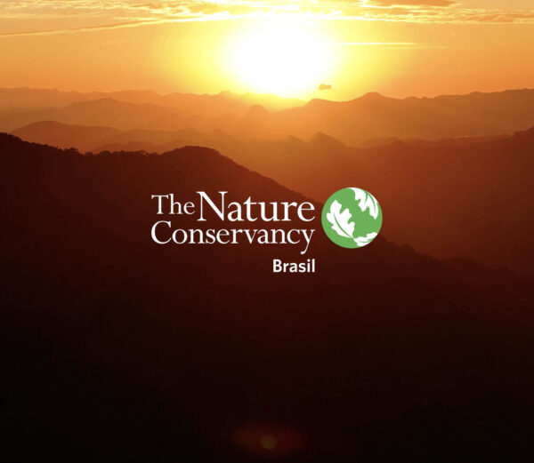Restauração Mata Atlantica – TNC – The Nature Consevancy