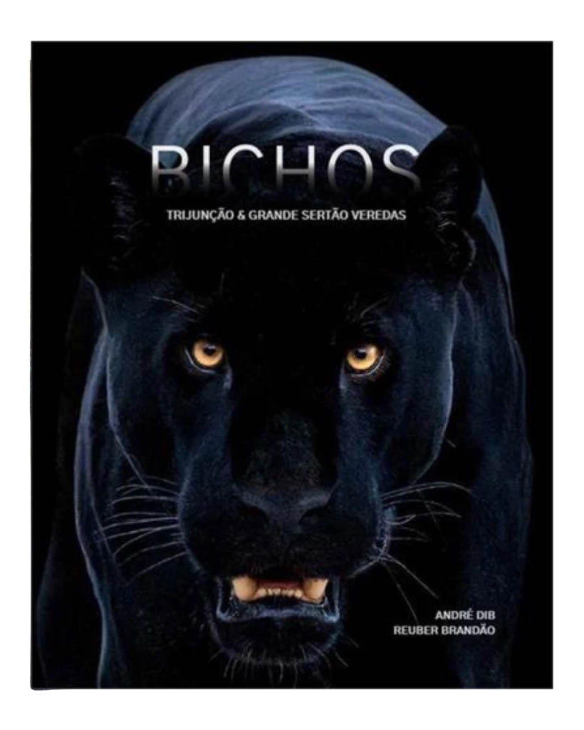 Bichos: Trijunção & Grande Sertão Veredas