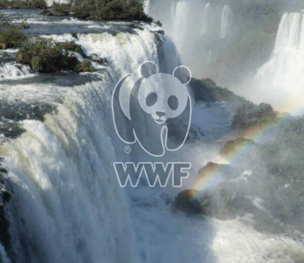 WWF Brasil – Restoration Day COP30