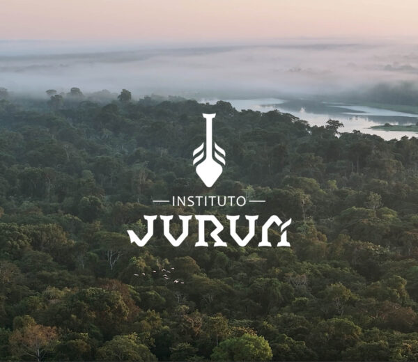 Curso de Manejo de Pirarucu – Instituto Juruá